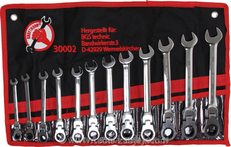 12-piece set of combination spanner 8-19mm BGS TECHNIC