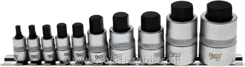 10-piece bit socket set 1/4 “ 3/8 " 1/2“ 4-19 mm BGS TECHNIC