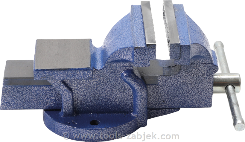 Vice 100 mm BGS TECHNIC