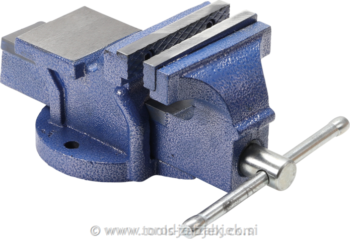 Vice 100 mm BGS TECHNIC