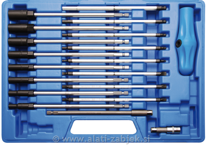 19-piece set of Torx screwdrivers with T-handle BGS TECHNIC