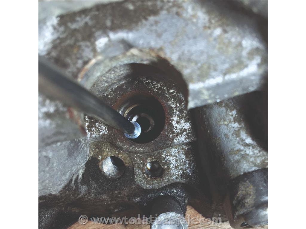 Injector Shaft Wire Brush Cleaning Set WELZH