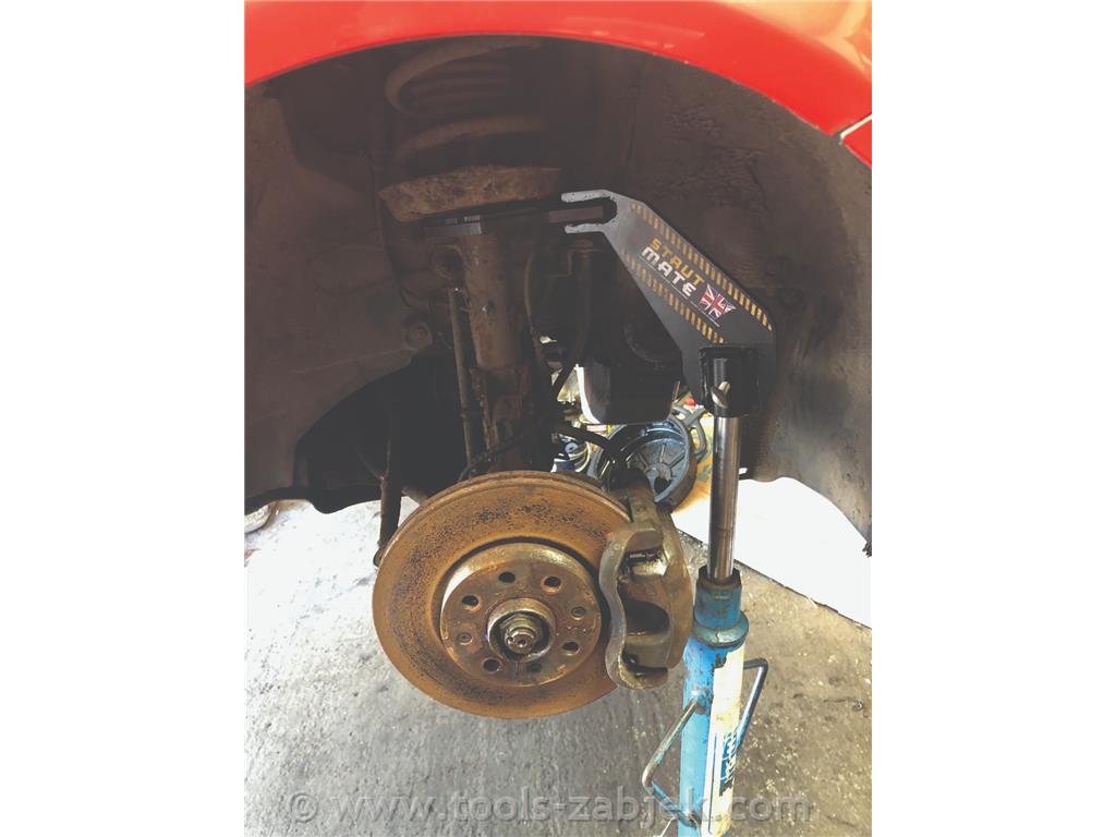 Strut supporter for Matut™ WELZH