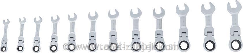 Ratchet Combination Wrench Set 8 - 19 mm BGS TECHNIC
